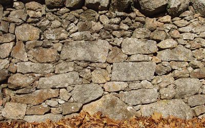 el sonido de las hojas