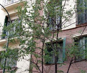 Este árbol no se entera