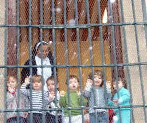 ¡Que nieve, que nieve!