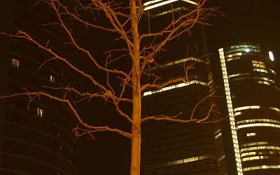 Brazos de árbol, brazos de luz