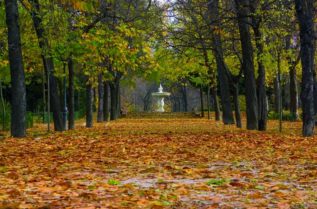 Paseos del Retiro (José García Nieto)