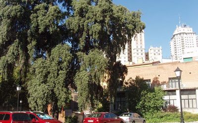 Este parking podría ser un parque