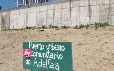 Huerto urbano en Adelfas