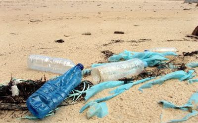 El agua y los plásticos