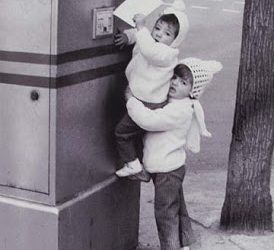 La carta a los reyes