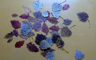 Las hojas que caen en el verano