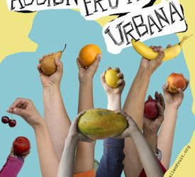 Un frutal cerca de casa.