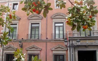 Madroños en la calle Mayor.