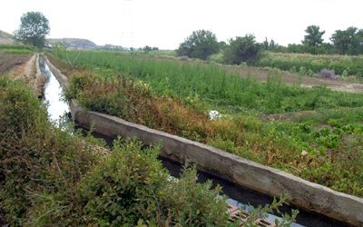 El útimo hortelano madrileño