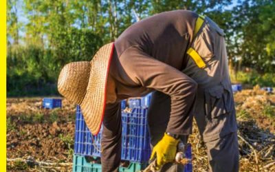 Madrid Comestible, nº 2