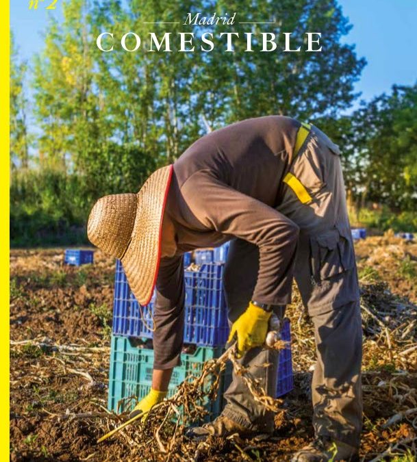 Madrid Comestible, nº 2
