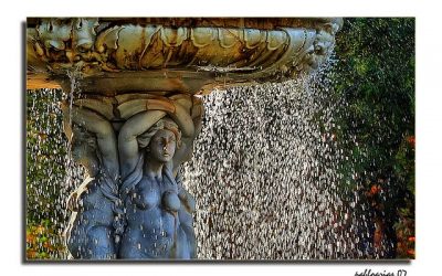 Foto de la semana: Frescor