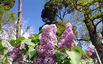 Buen Lunes y Buena Semana!!