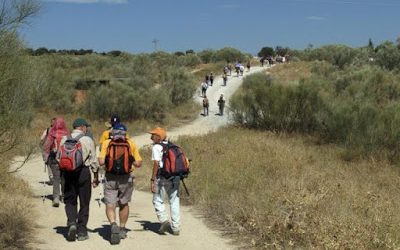 Se puede ir caminando hasta Manzanares el Real