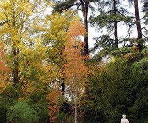 Pasear por el Campo del Moro