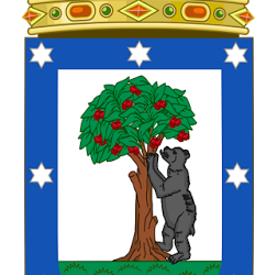 ¿Por qué hay un oso y un madroño en el escudo de Madrid?