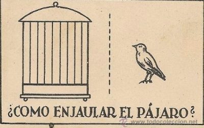 Meta usted el pájaro en la jaula