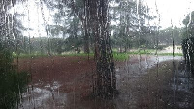 Olor a tierra mojada