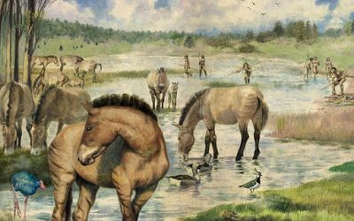 Brevísima Historia de Madrid, 1