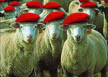 Diccionario nacionalista.