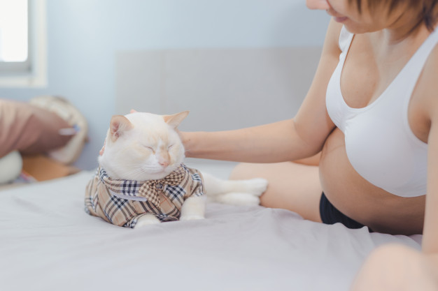 Humanizar a los animales de compañía.